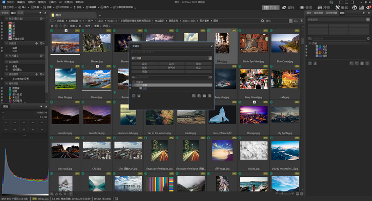 ACDSee 2025 發布！AI 科技開啟圖片管理及創意新紀元！插圖3