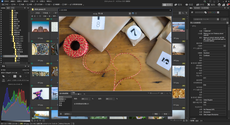 ACDSee 2025 發布！AI 科技開啟圖片管理及創意新紀元！插圖1