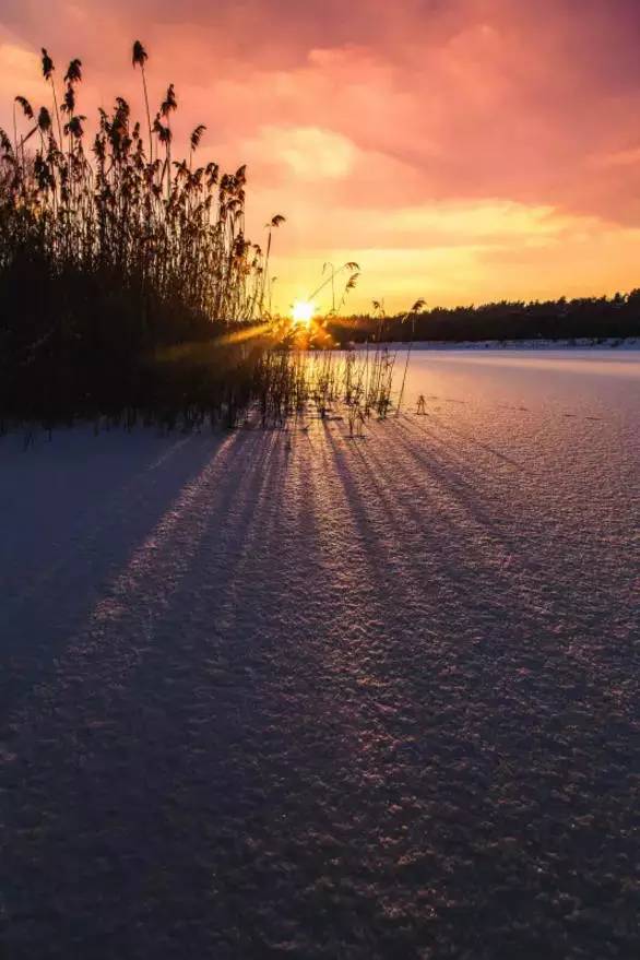 為什么說掌握光線，攝影就成功了一半插圖2