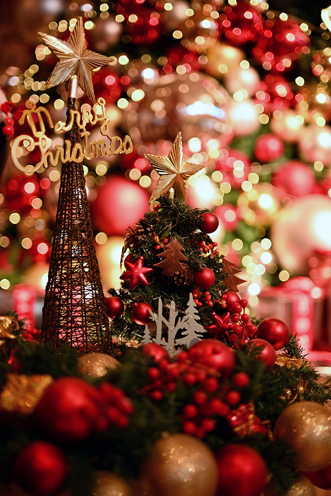 簡(jiǎn)單4招，教你在室內(nèi)打造夢(mèng)幻圣誕人像插圖1