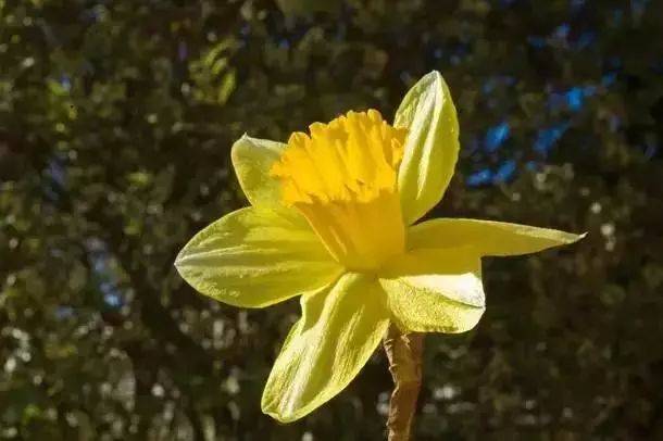 這10個(gè)構(gòu)圖錯(cuò)誤，你犯過(guò)幾個(gè)！插圖7