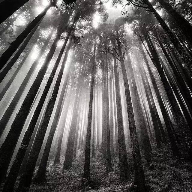 如何用節(jié)奏去構(gòu)圖？很簡單，但這個錯誤不要犯！插圖17