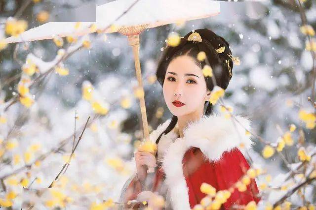 冬日臘梅怎么拍？28張圖例手把手教你！插圖23