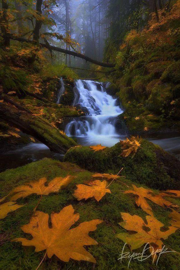 豎構圖，視覺沖擊力竟然可以這么大！插圖15