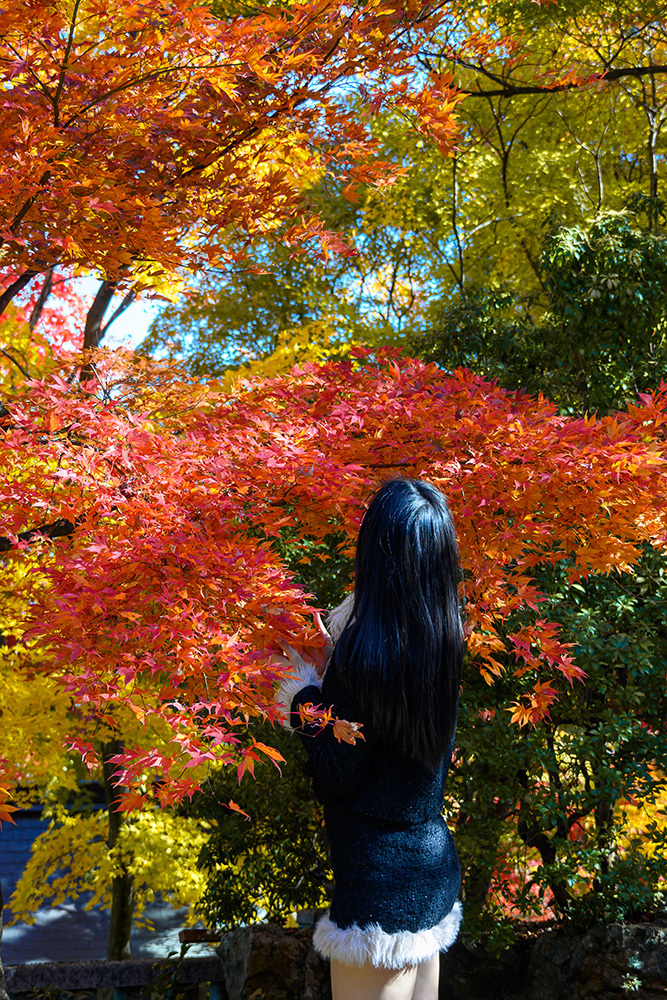 探尋京都紅葉圣地，做一場光怪陸離的夢插圖12
