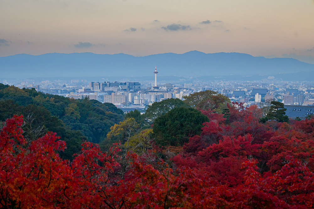 探尋京都紅葉圣地，做一場光怪陸離的夢-無料攝影圈