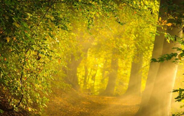 自然風(fēng)景攝影，我們怎樣才能拍出更美的照片？-無料攝影圈