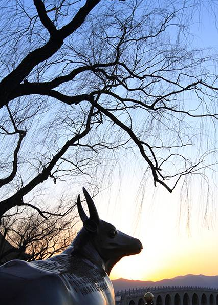 影技巧 如何使用曝光補償與包圍曝光插圖5