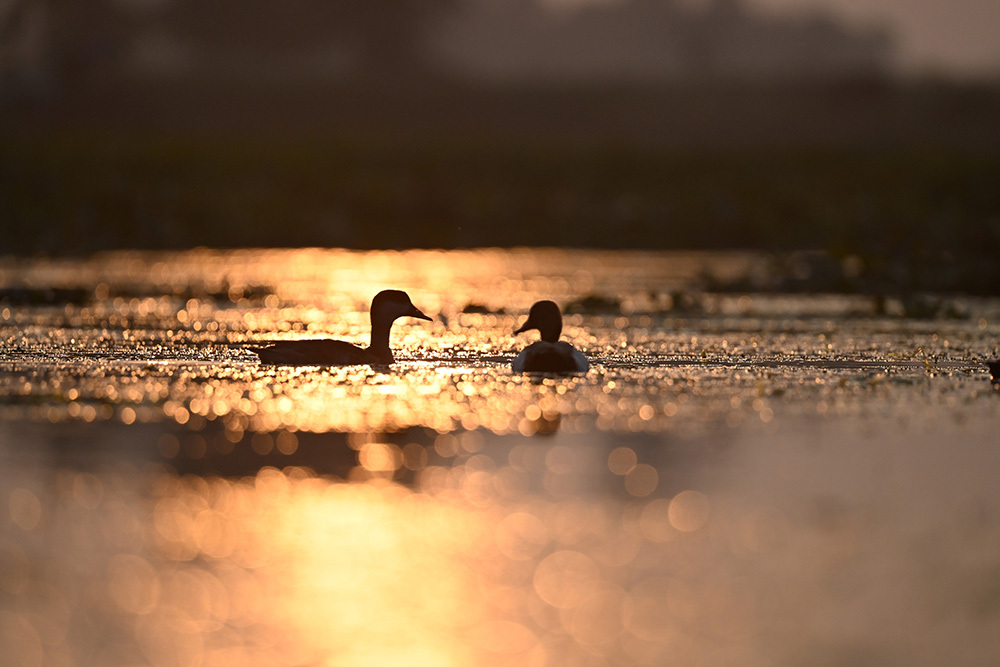 假期拍不停 尼康為你打造專屬影像記憶-無料攝影圈
