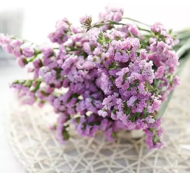 攝影技巧：新手如何拍出“屏保級”花卉照片-無料攝影圈