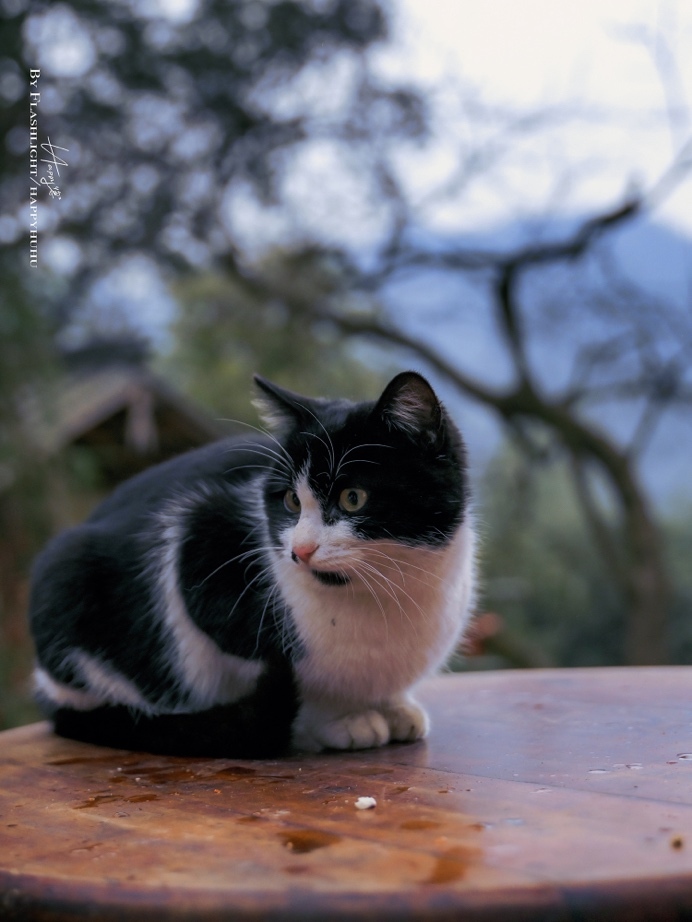 用尼康Z30定格超帶感的街拍大片！插圖17