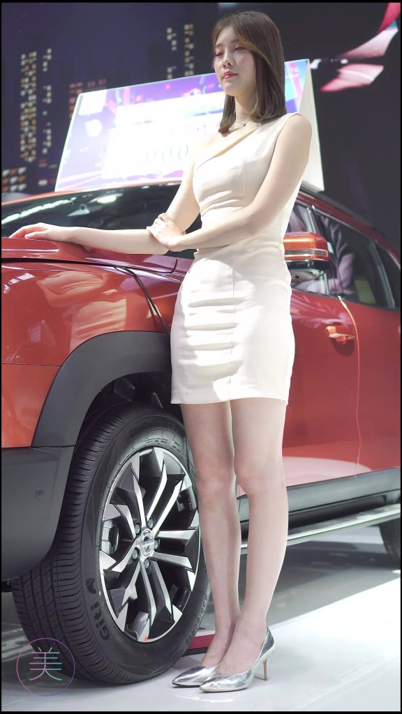 NO.0013 2020 南寧東盟車展 Racing Model HAVAL車模01[1V/308MB]插圖4