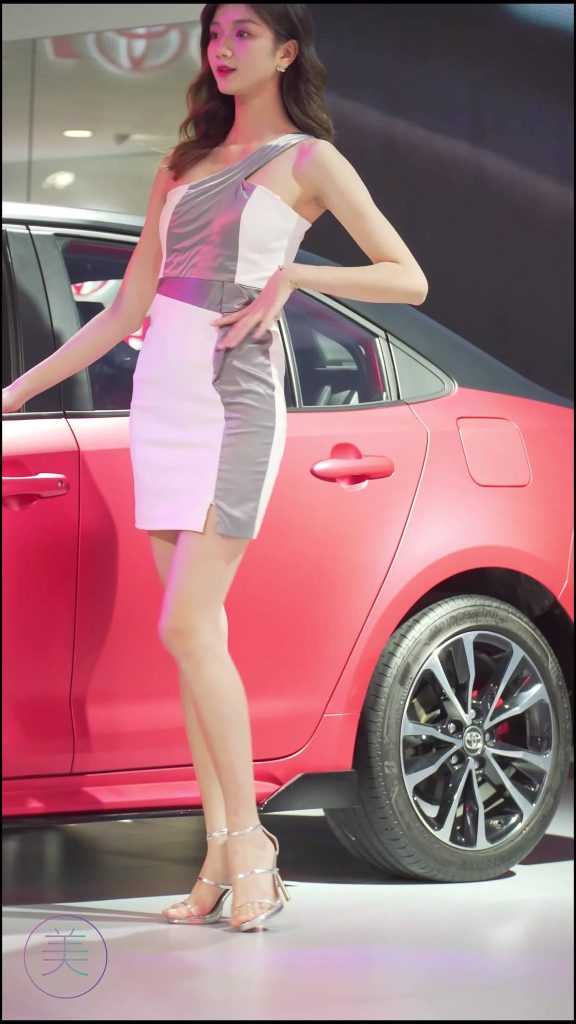 NO.0086 2021 東莞車展 Racing Model TOYOTA車模06[1V/290MB]插圖1