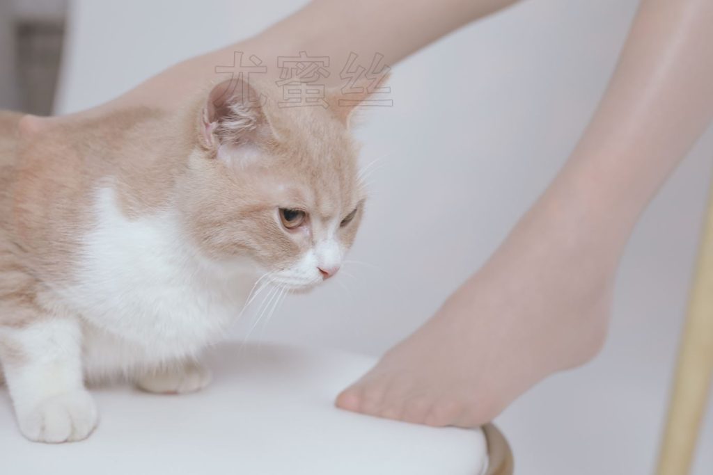 尤密思 No.011 穿搭推廣展示圖集 [72P/192MB]插圖