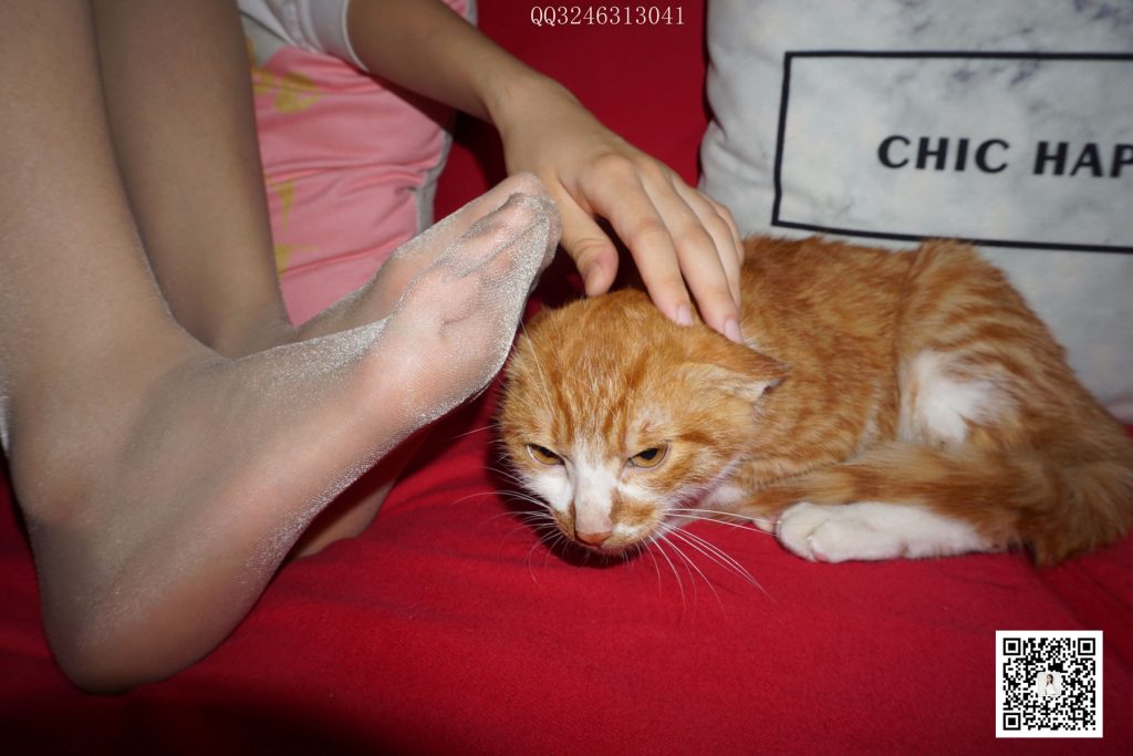 大生模拍 No.090 灰絲高跟小野貓 [101P/1V/435MB]插圖3