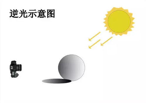 攝影技巧 一盞燈搞定美食攝影插圖3