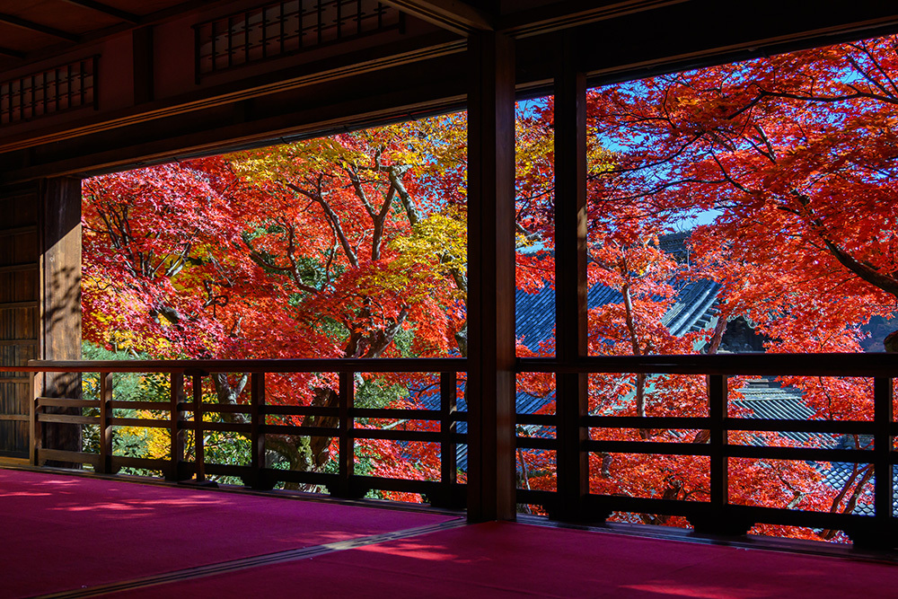 探尋京都紅葉圣地，做一場光怪陸離的夢插圖5