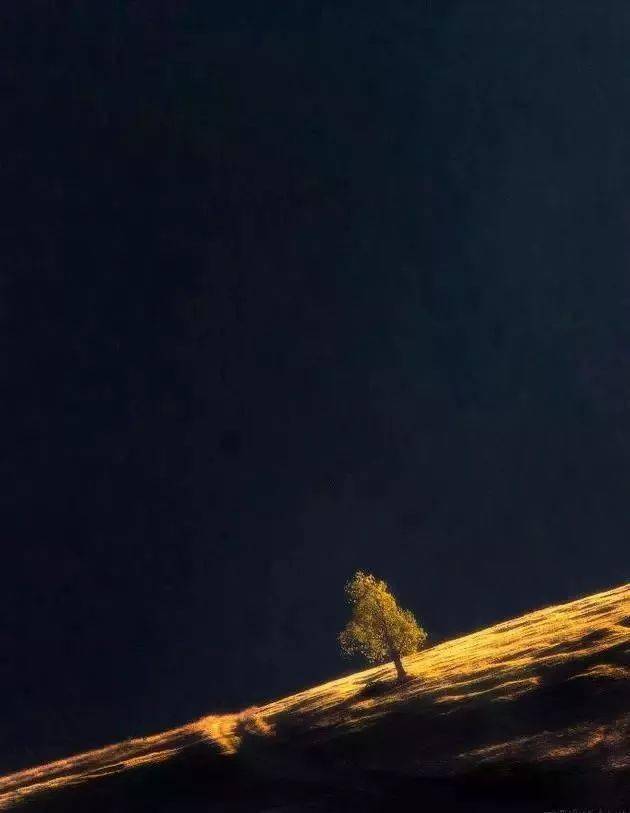 豎構圖，視覺沖擊力竟然可以這么大！插圖14