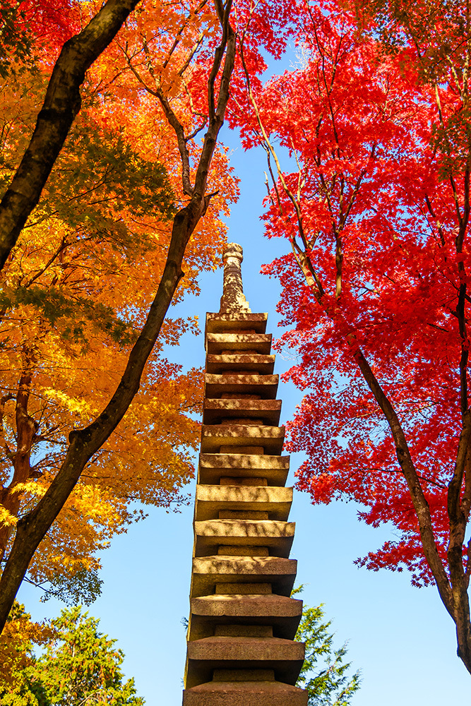 探尋京都紅葉圣地，做一場光怪陸離的夢插圖13