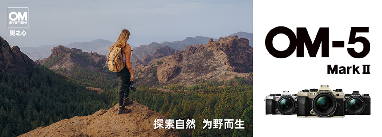 奧之心發布國行版OM-5 MarkII-無料攝影圈