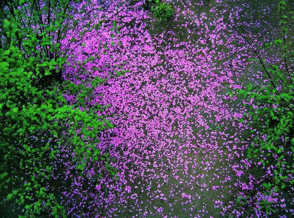 如何用節(jié)奏去構(gòu)圖？很簡單，但這個錯誤不要犯！插圖3