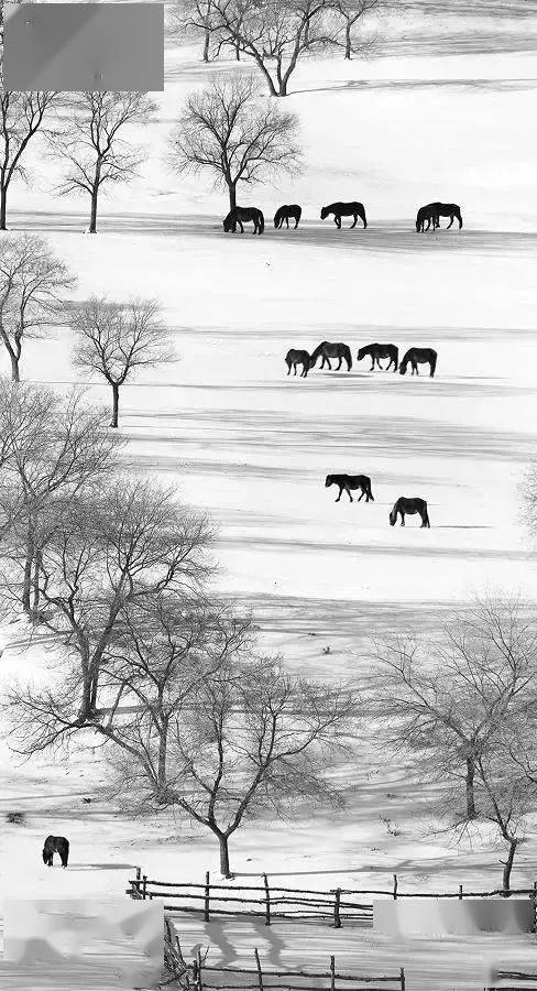 豎構圖，視覺沖擊力竟然可以這么大！插圖3