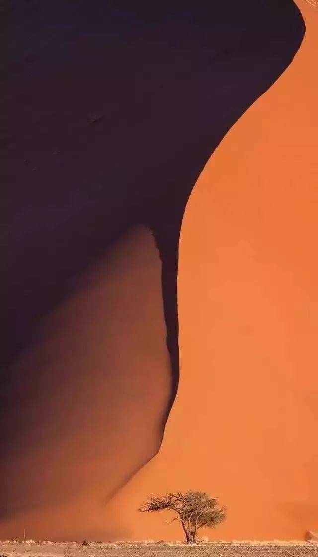 豎構圖，視覺沖擊力竟然可以這么大！插圖5