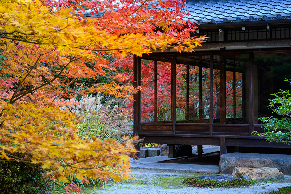探尋京都紅葉圣地，做一場光怪陸離的夢插圖9