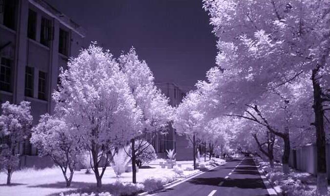 紅外攝影讓照片具有獨(dú)特的魅力-無料攝影圈