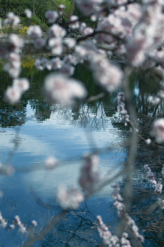 如何將素雅新中式拍出別樣韻味？插圖6