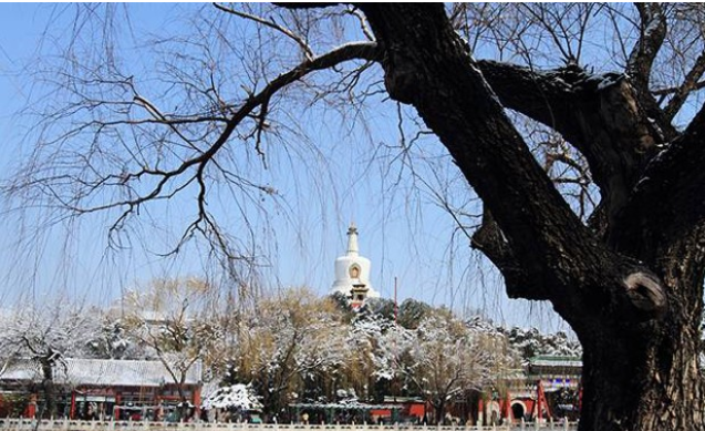 影技巧 如何使用曝光補償與包圍曝光插圖2