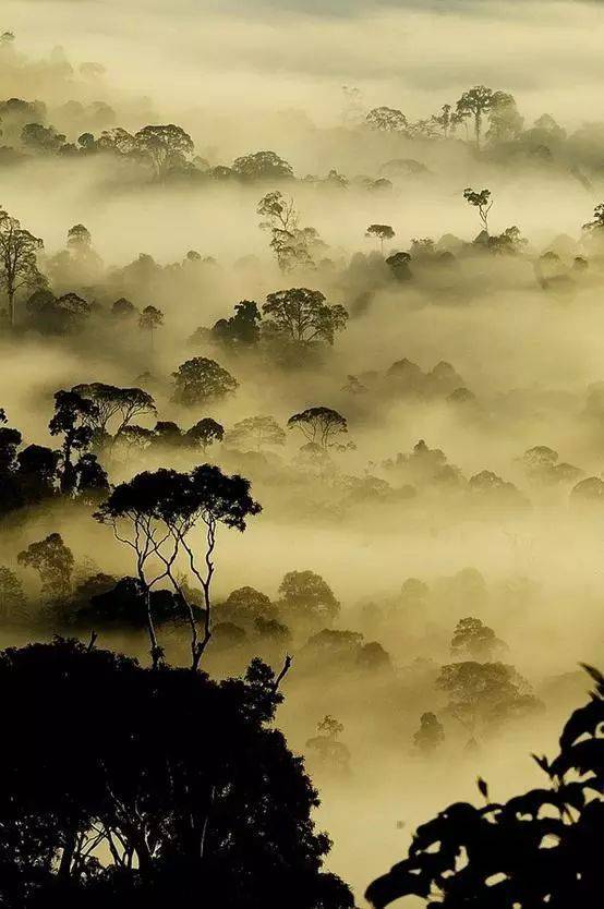 如何用節(jié)奏去構(gòu)圖？很簡單，但這個錯誤不要犯！插圖18