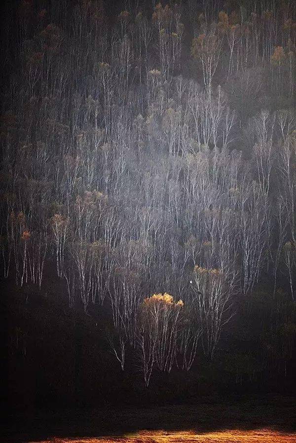 豎構圖，視覺沖擊力竟然可以這么大！插圖2