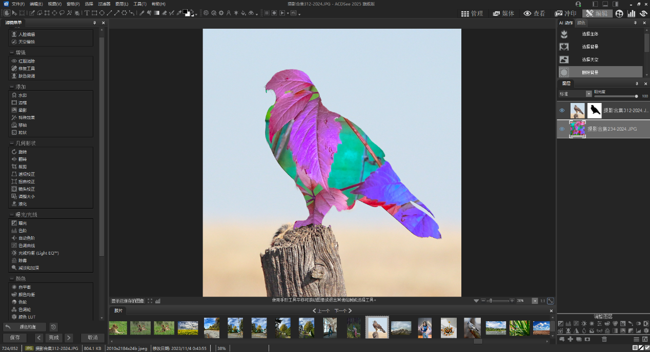 ACDSee 2025 旗艦版：攝影與創意的得力助手插圖4