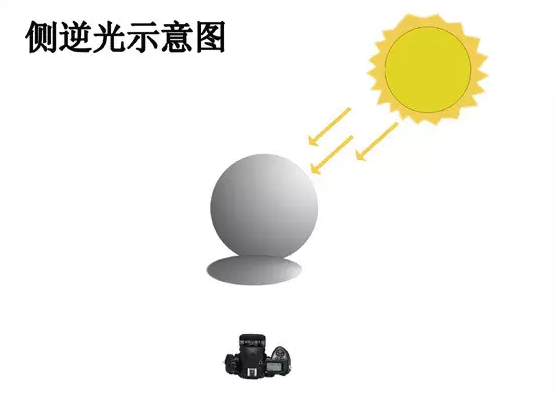 攝影技巧 一盞燈搞定美食攝影-無料攝影圈