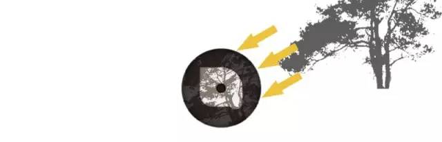 為什么說掌握光線，攝影就成功了一半插圖22