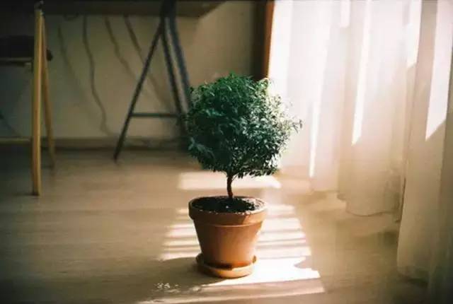 為什么說掌握光線，攝影就成功了一半插圖8