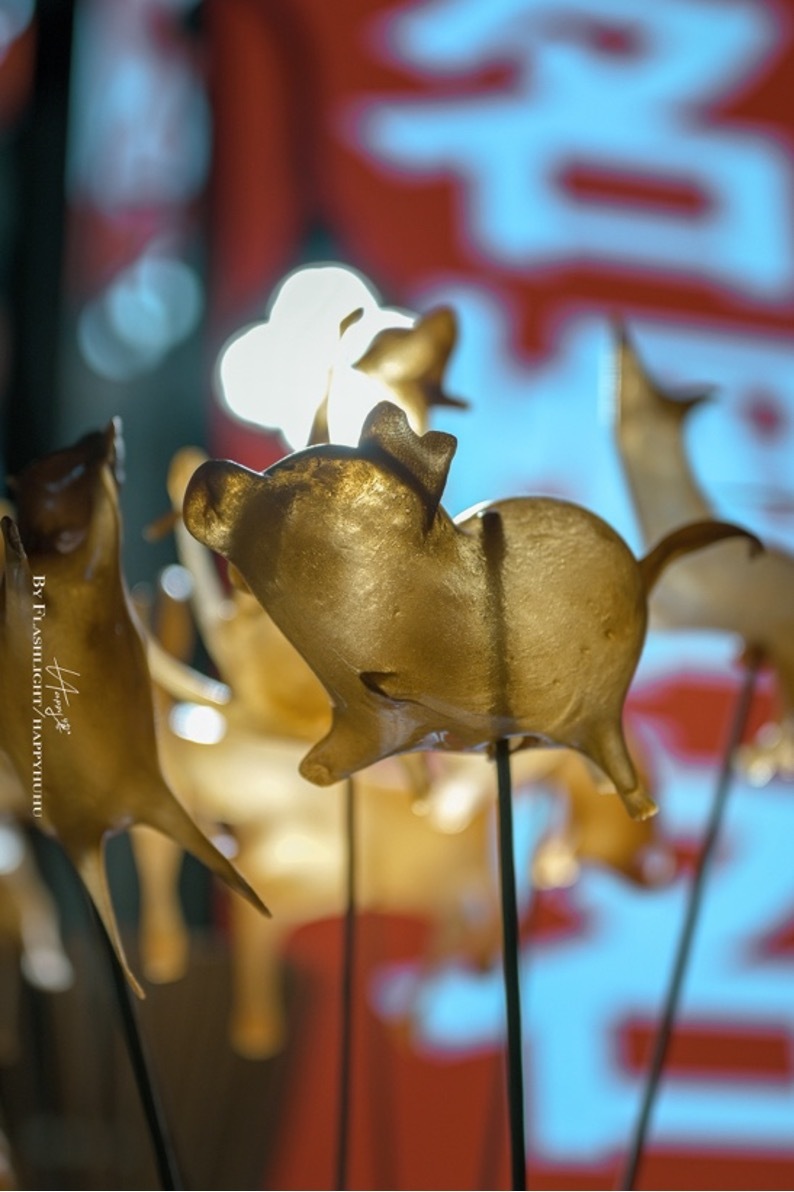 用尼康Z30定格超帶感的街拍大片！插圖12