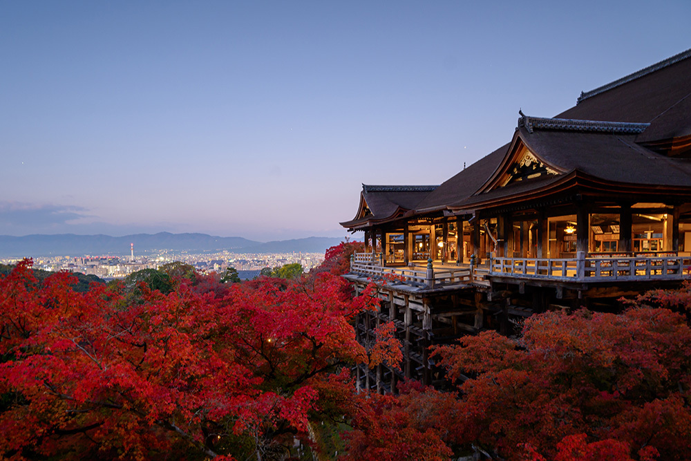 探尋京都紅葉圣地，做一場光怪陸離的夢插圖15