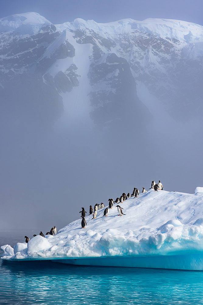 定格冰雪天堂，南極攝影技法全解析插圖