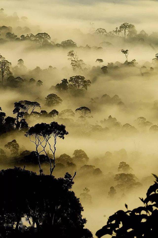 豎構圖，視覺沖擊力竟然可以這么大！插圖12