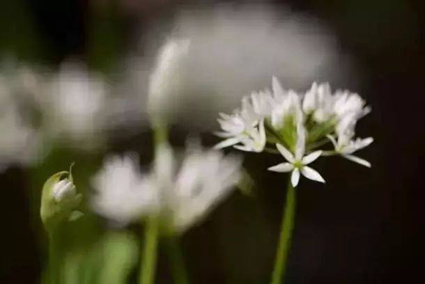 這10個(gè)構(gòu)圖錯(cuò)誤，你犯過(guò)幾個(gè)！插圖6