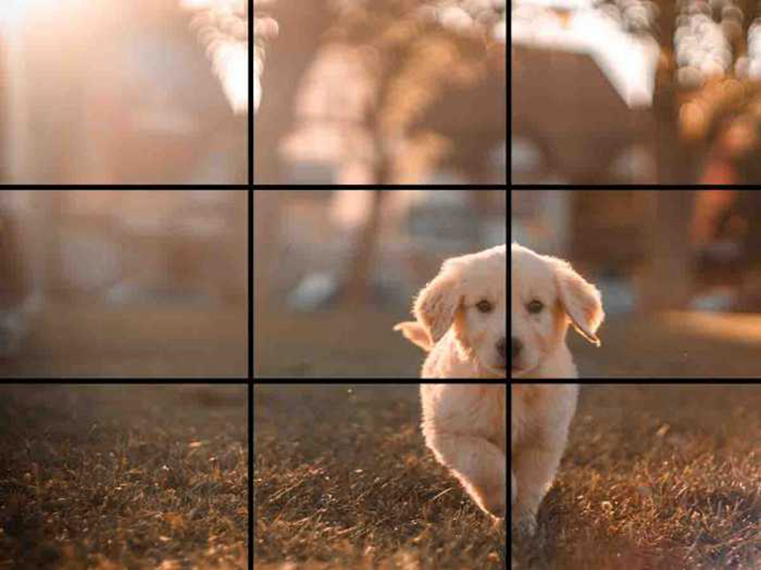 隨手拍大片？試試三分法！插圖1