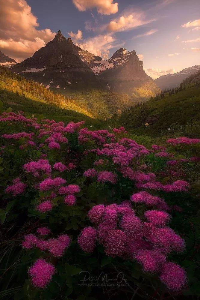 豎構圖，視覺沖擊力竟然可以這么大！插圖9