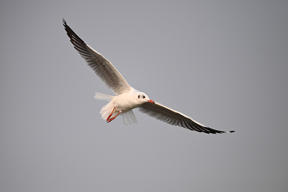 假期拍不停 尼康為你打造專屬影像記憶插圖14