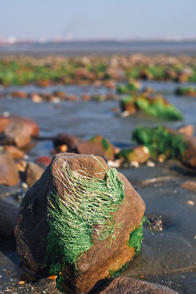 學(xué)會(huì)這4招，讓你把旅行照拍出故事感插圖14