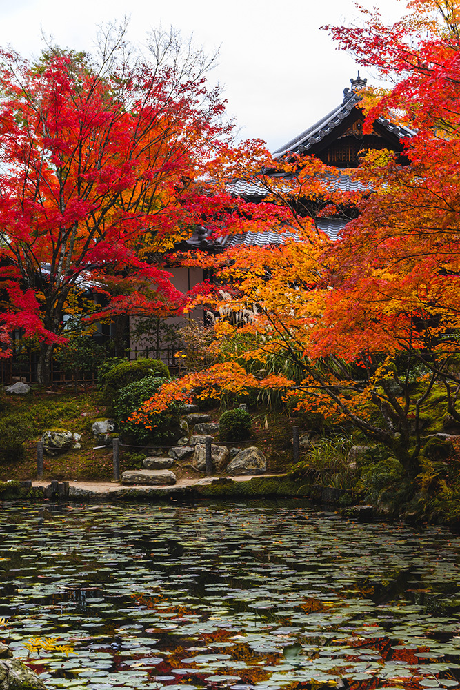 探尋京都紅葉圣地，做一場光怪陸離的夢插圖10