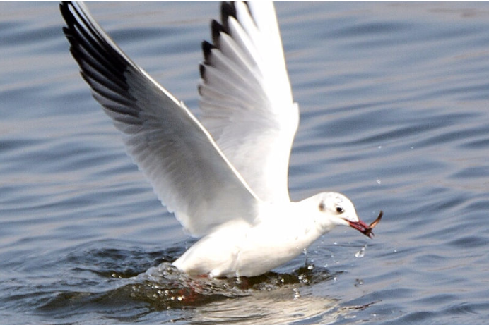 攝影技巧：“攝影眼”的培養插圖2