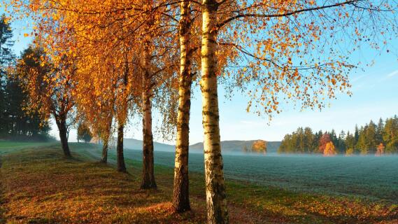 高品質風景圖攝影技巧-無料攝影圈