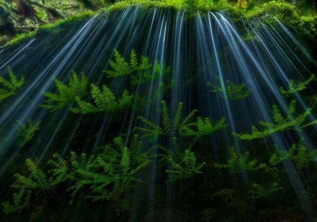 如何用節(jié)奏去構(gòu)圖？很簡單，但這個錯誤不要犯！插圖19